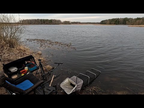 Видео: Людвиново!!! Фидерная рыбалка!!!