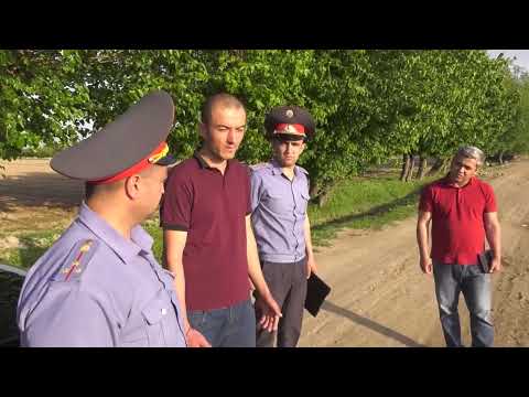 Видео: Ҷангу ҷанҷоли ҳамдеҳагон дар ҷамоати деҳоти Оббурдони ноҳияи Мастчоҳ
