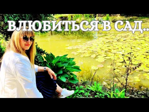 Видео: 695.  ПОКОЙ, ЗЕЛЕНЬ И ЧАЙ..- В СЕРДЦЕ АНГЛИЙСКОГО САДА.