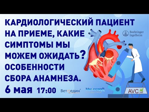 Видео: Кардиологический пациент на приеме (А.Г. Комолов)