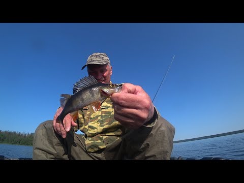 Видео: Гладышевское озеро. Рыбалка 15.06.25.