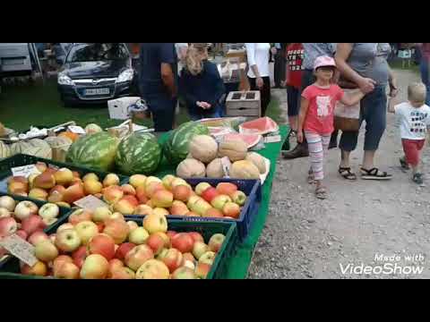 Видео: ПТИЧИЙ РЫНОК В ГЕРМАНИИ ♡ПОКУПАЕМ КРОЛА НА ПЛЕМЯ