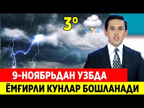 Видео: ШОШИЛИНЧ! 9-10-11-НОЯБРЬДА ОБ ХАВО ПРАГНОЗИ ТАЙЁР ТУРИНГ 