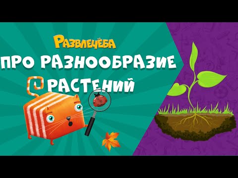 Видео: Развлечёба. Окружающий мир. Про разнообразие растений