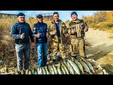 Видео: ҚОСТАНАЙДАН КЕЛГЕН ҚОНАҚ КІСІЛЕРЛЕРМЕН БАЛЫҚҚА ШЫҚТЫҚ. ( ҚЫЗЫЛОРДА, ЖАҢАДАРИЯ ) БОЛЬШИЕ ЩУКИ.