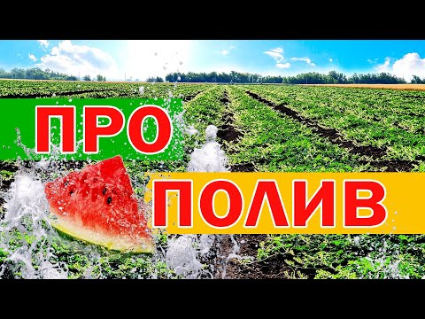 Видео: Про полив 💦🍉 26 06 21