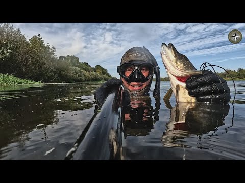 Видео: КОМПАС №70 / ОСЕНЬ. ЖИВЁМ И ОХОТИМСЯ НА БОЛЬШОЙ РЕКЕ