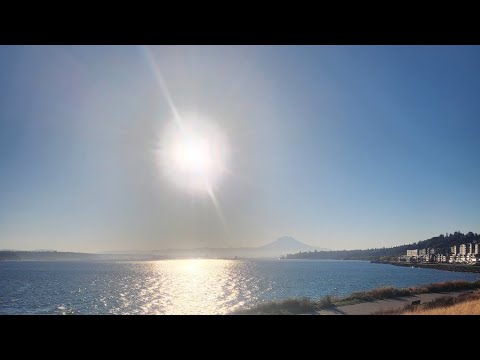 Видео: СОЗДАВАЯ ИДЕАЛЬНУЮ РАБОТУ, КОТОРАЯ ПРИНЕСЕТ ПРОЦВЕТАНИЕ. НЕ СДАВАЙТЕСЬ, ТРЕБУЙТЕ ТО, ЧЕГО ЖЕЛАЕТ ...