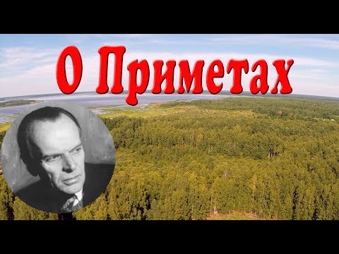 Видео: Несколько слов о приметах. Презентация для детей. Окружающий мир.