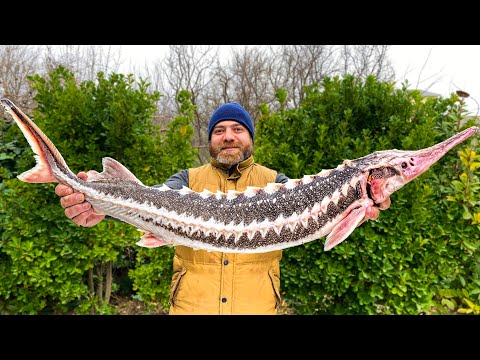 Видео: Невероятно Вкусная Осетрина приготовленная под Толстым Слоем Соли в Печи