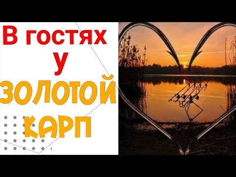 Видео: В гостях у фирмы,,ЗОЛОТОЙ КАРП". Производитель прикормки, дипов и ликвидов,технопланктона и.т.д