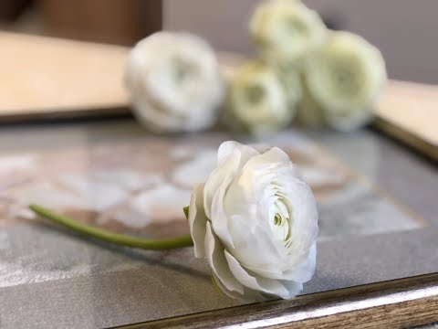 Видео: Белый ранункулюс из холодного фарфора. Cold porcelain white ranunculus.