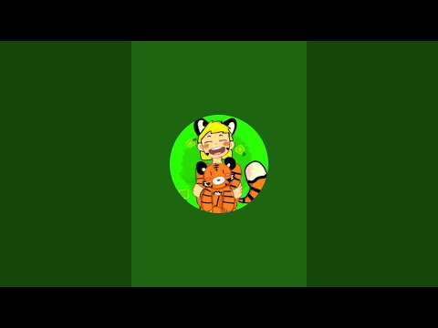 Видео: Везучий тигр в прямом эфире!