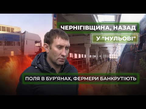 Видео: КУПАВЦЕВ: На півночі бізнес в мінусах. Я вимушений звільнити 200 чоловік і припинити обробляти поля