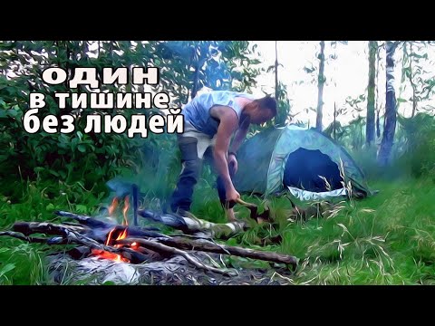 Видео: Один, в тишине, без людей. Поход с ночевкой в палатке.