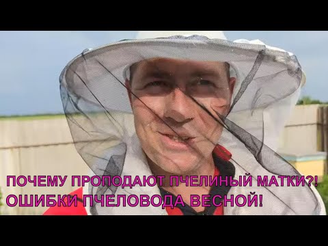 Видео: Почему пропадают пчелиные матки весной, ошибки пчеловода ✅☝️