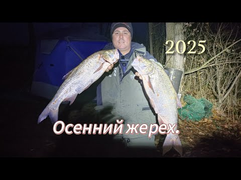 Видео: Осенний жерех