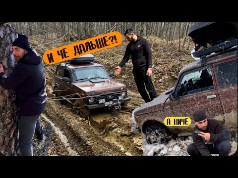 Видео: VLOG: эти парни поехали на НИВЕ в ГОРЫ