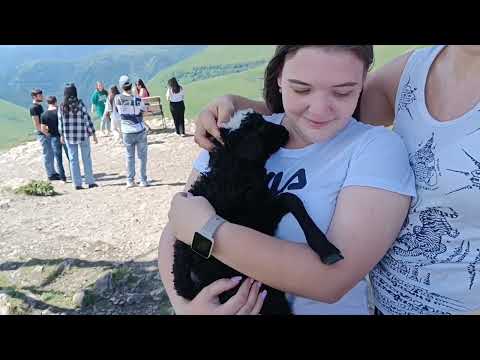 Видео: Поляна Эммануэля через гору Сирх. Поход на Немецкий аэродром. Белый Лабиринт на Немецком аэродроме.