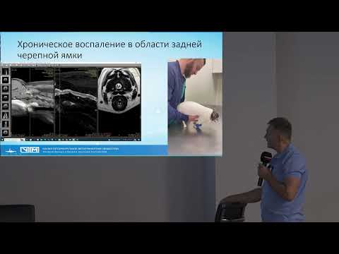 Видео: Лечение собак карликовых пород Сирингомиелия впадина Дьюи Киари