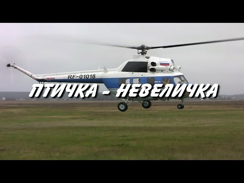 Видео: Птичка - Невеличка (Ми-2)  - Николай Анисимов