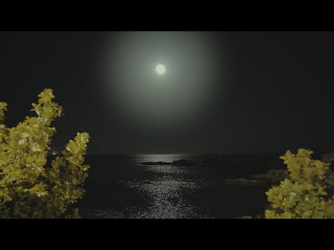 Видео: Расслабляющие звуки ночного океана - ночь полнолуния со звуками волн для глубокого сна