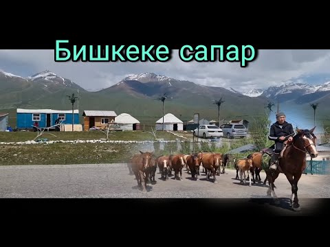 Видео: Бишкеке сапар