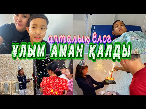 Видео: ҰЛЫМ АМАН ҚАЛДЫ🥹/ТУҒАН КҮН/ҮЙГЕ МЫСЫҚ АЛЫПТЫ😳@SvetikLife.