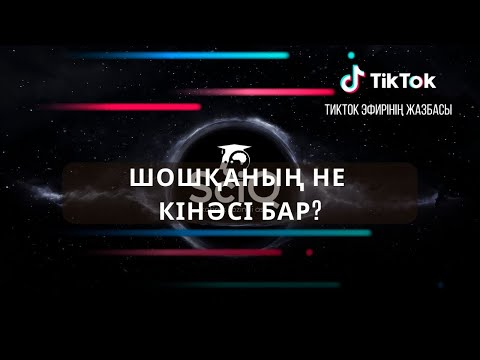 Видео: Шошқаның не кінәсі бар?