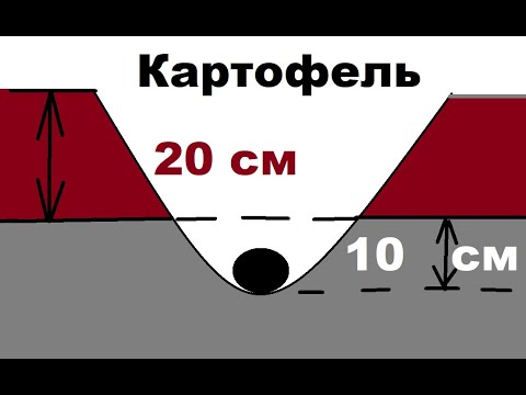 Видео: Грядка Розума. Картофель . Метод Палыги!