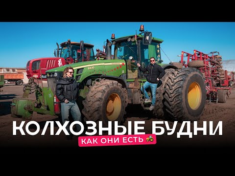 Видео: Бывший инженер — честно о сельскохозяйственных буднях