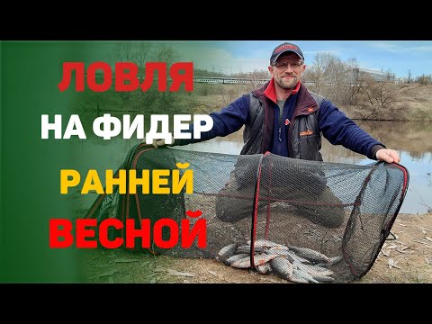 Видео: ловля на реке фидером ранней весной