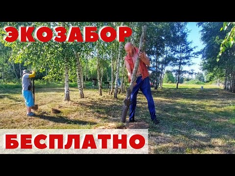 Видео: СДЕЛАЛ БЕСПЛАТНЫЙ ЗАБОР! Скоро все так делать будут....