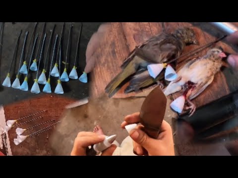 Видео: Новые самодельные дротики для моей духовой трубки??? (охота включена)