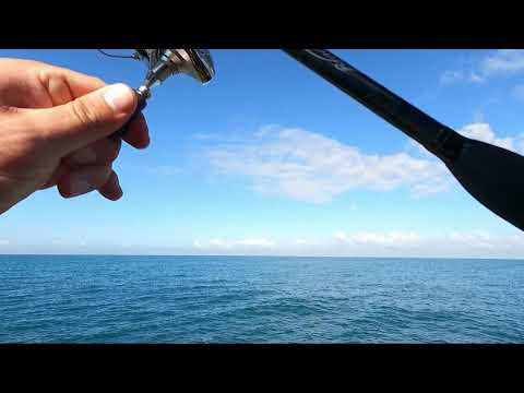 Видео: Тунец. Рыбалка в Израиле || טונה קטנה || tuna fish Mediterranean sea