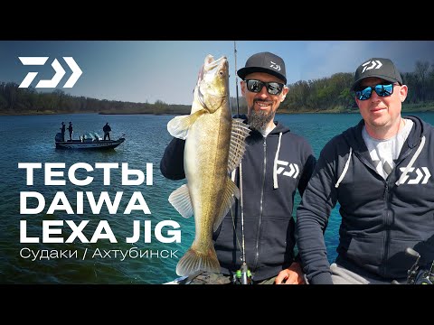 Видео: АХТУБИНСКИЕ СУДАКИ! Финальный тест DAIWA LEXA JIG!