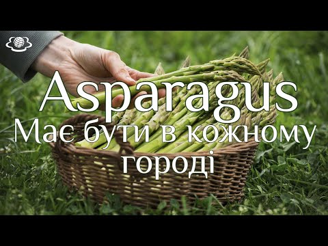 Видео: Asparagus Має бути в кожному городі