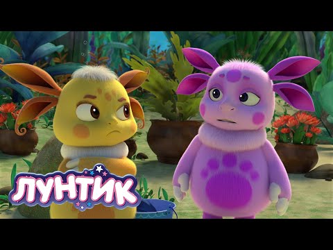 Видео: Лунтик | Обидчица | 536 серия | Мультики для детей