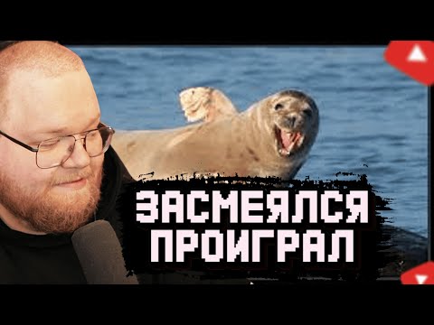 Видео: T2x2 СМОТРИТ СМЕШНЫЕ ВИДЕО ПОДПИСЧИКОВ | ЗАСМЕЯЛСЯ ПРОИГРАЛ #2