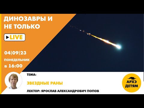 Видео: Занятие "Звездные раны" кружка "Динозавры и не только" с Ярославом Поповым
