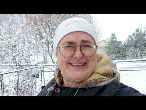 Видео: Первый снег. Обо всем по немногу.