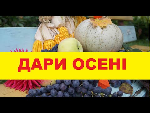 Видео: ДАРИ ОСЕНІ | Заняття для дошкільнят з ознайомлення з природним довкіллям