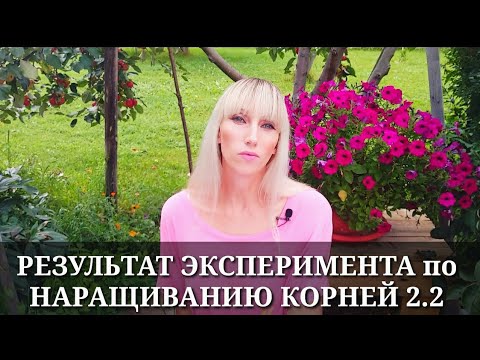 Видео: НАРАЩИВАНИЕ корней орхидей В ПЕРЛИТЕ и ВО МХЕ / ЧТО ЛУЧШЕ МОХ или ПЕРЛИТ? РЕЗУЛЬТАТ: потеря орхидеи?