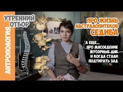 Видео: Новые находки австралопитека седиба и ответы на вопросы. Елена Сударикова