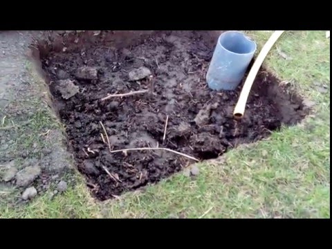 Видео: Проверенный способ посадки винограда. ОШИБКИ ПРИ ПОСАДКЕ САЖЕНЦЕВ