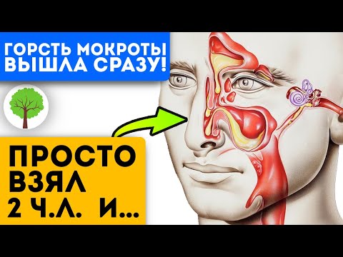 Видео: О таком применении розмарина молчат! Даже одна веточка творит чудеса с суставами, желудком и даже…
