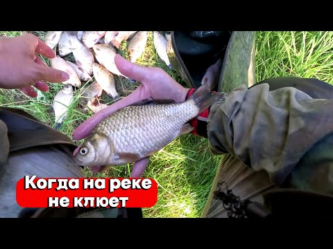 Видео: КАРАСЬ НА СПИННИНГ! КОГДА НЕ КЛЮЕТ НА ПОПЛАВОК И В РЕКЕ МУТНАЯ ВОДА МОРМЫШИНГ ВЫРУЧАЕТ! РЫБАЛКА 2024