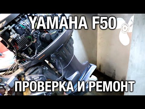 Видео: ⚙️🔩🔧YAMAHA F50A. Проверка Б/У мотора перед покупкой и последующий ремонт