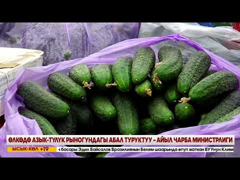 Видео: КЕЧКИ ЖАҢЫЛЫКТАР ЧЫГАРЫЛЫШЫ // 07 11 2025