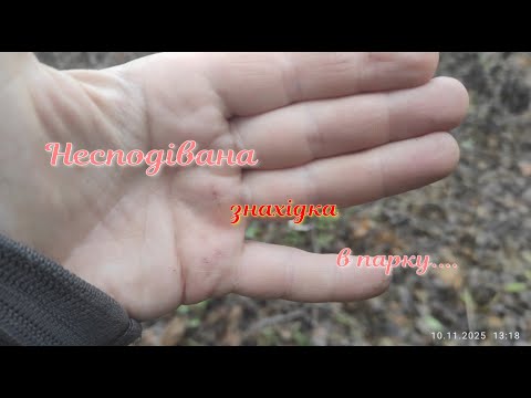 Видео: Несподівана знахідка в парку....